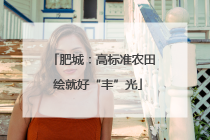 肥城：高标准农田绘就好“丰”光