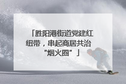 胜阳港街道党建红纽带，串起商居共治 “烟火圈”