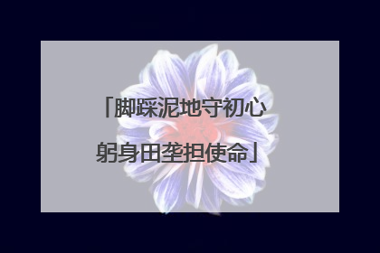 脚踩泥地守初心 躬身田垄担使命