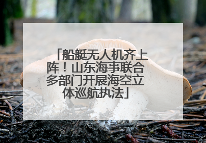 船艇无人机齐上阵！山东海事联合多部门开展海空立体巡航执法