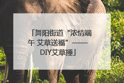 舞阳街道“浓情端午 艾草送福”——DIY艾草捶