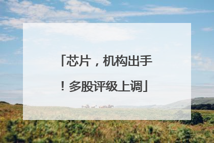 芯片，机构出手！多股评级上调