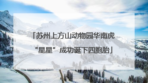 苏州上方山动物园华南虎“星星”成功诞下四胞胎