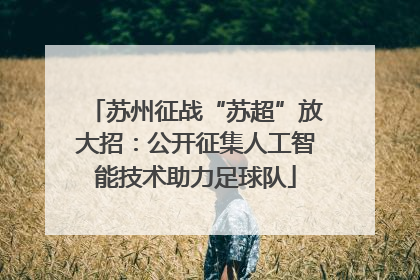 苏州征战“苏超”放大招：公开征集人工智能技术助力足球队