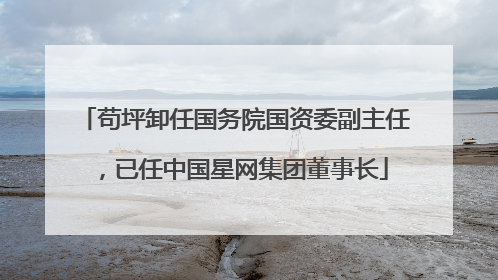 苟坪卸任国务院国资委副主任，已任中国星网集团董事长