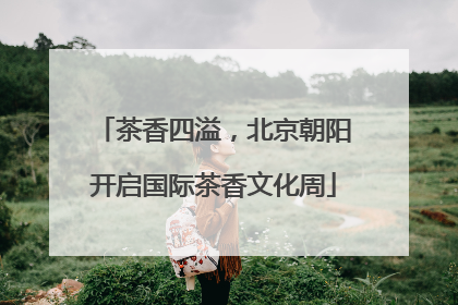 茶香四溢，北京朝阳开启国际茶香文化周