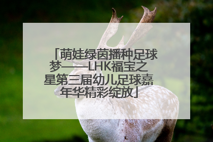 萌娃绿茵播种足球梦——LHK福宝之星第三届幼儿足球嘉年华精彩绽放