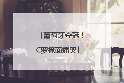 葡萄牙夺冠！C罗掩面痛哭