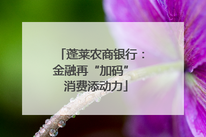 蓬莱农商银行：金融再“加码” 消费添动力