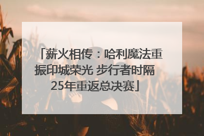 薪火相传：哈利魔法重振印城荣光 步行者时隔25年重返总决赛