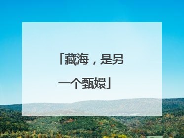 藏海，是另一个甄嬛