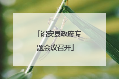 诏安县政府专题会议召开