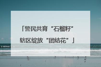 警民共育“石榴籽” 辖区绽放“团结花”
