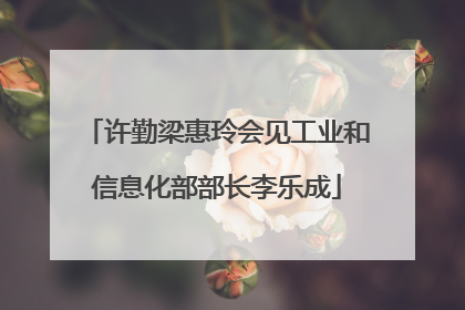 许勤梁惠玲会见工业和信息化部部长李乐成