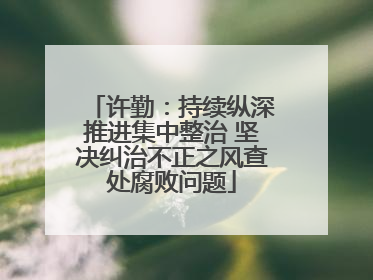 许勤：持续纵深推进集中整治 坚决纠治不正之风查处腐败问题