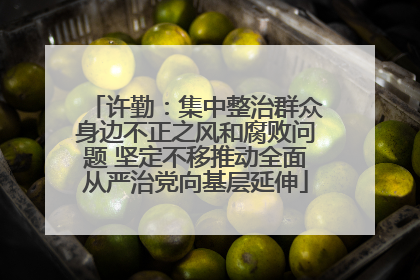 许勤：集中整治群众身边不正之风和腐败问题 坚定不移推动全面从严治党向基层延伸