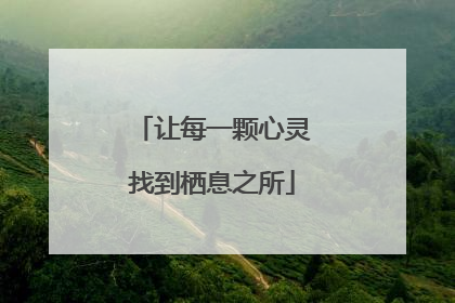 让每一颗心灵找到栖息之所