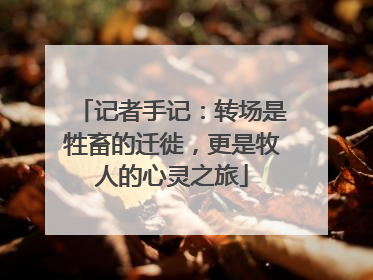 记者手记：转场是牲畜的迁徙，更是牧人的心灵之旅