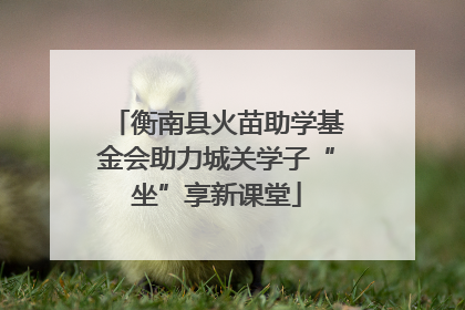 衡南县火苗助学基金会助力城关学子“坐”享新课堂
