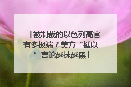 被制裁的以色列高官有多极端？美方“挺以”言论越抹越黑