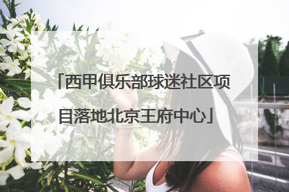 西甲俱乐部球迷社区项目落地北京王府中心