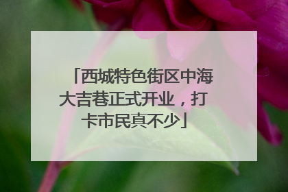 西城特色街区中海大吉巷正式开业，打卡市民真不少