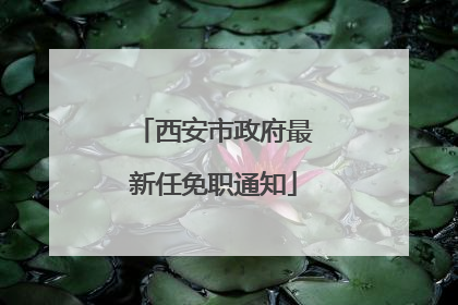 西安市政府最新任免职通知