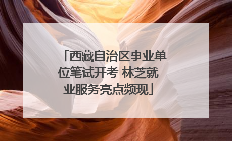 西藏自治区事业单位笔试开考 林芝就业服务亮点频现