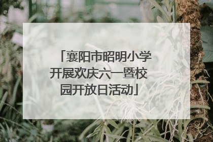 襄阳市昭明小学开展欢庆六一暨校园开放日活动
