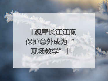 观摩长江江豚保护意外成为“现场教学”