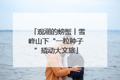 观潮的螃蟹丨雪峰山下“一粒种子”撬动大文旅
