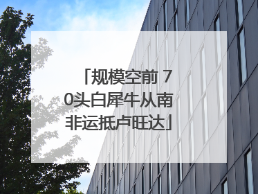 规模空前 70头白犀牛从南非运抵卢旺达