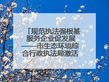 规范执法强根基 服务企业促发展——市生态环境综合行政执法局激活营商环境“绿色动能”