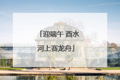 迎端午 酉水河上赛龙舟