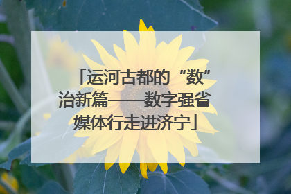 运河古都的“数”治新篇——数字强省媒体行走进济宁