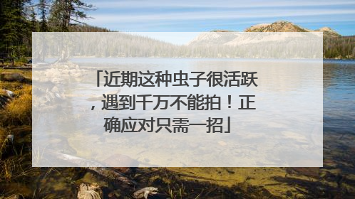 近期这种虫子很活跃，遇到千万不能拍！正确应对只需一招