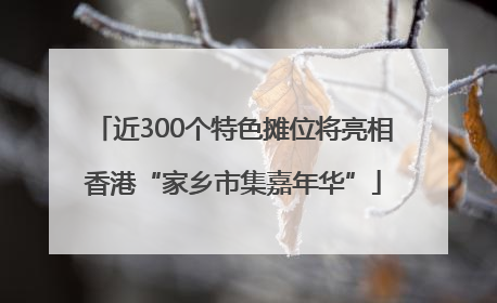 近300个特色摊位将亮相香港“家乡市集嘉年华”