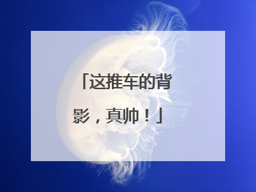 这推车的背影，真帅！