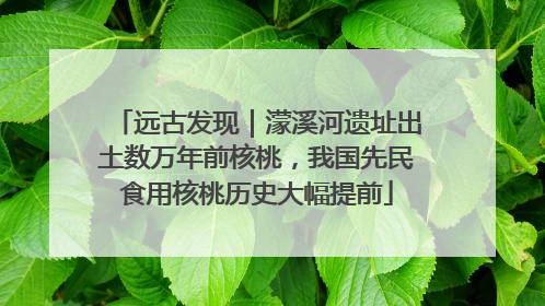 远古发现｜濛溪河遗址出土数万年前核桃，我国先民食用核桃历史大幅提前