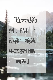 连云港海州：秸秆“逆袭”绘就生态农业新画卷