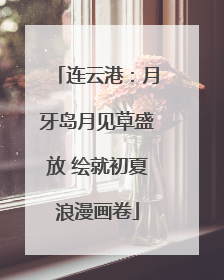 连云港：月牙岛月见草盛放 绘就初夏浪漫画卷