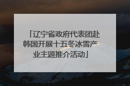 辽宁省政府代表团赴韩国开展十五冬冰雪产业主题推介活动