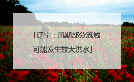 辽宁：汛期部分流域可能发生较大洪水