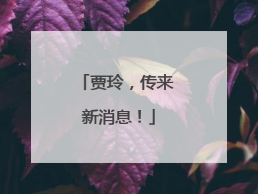 贾玲，传来新消息！