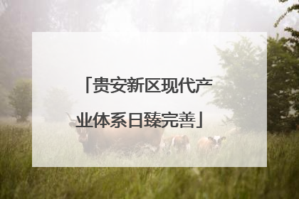 贵安新区现代产业体系日臻完善