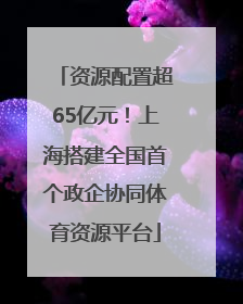 资源配置超65亿元！上海搭建全国首个政企协同体育资源平台