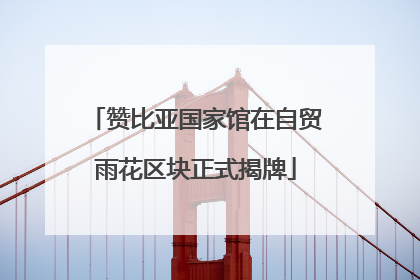 赞比亚国家馆在自贸雨花区块正式揭牌