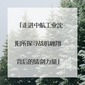 走进中航工业沈阳所探寻战机翱翔背后的铸剑力量