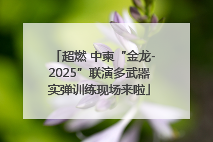 超燃 中柬“金龙-2025”联演多武器实弹训练现场来啦