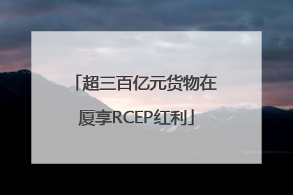 超三百亿元货物在厦享RCEP红利